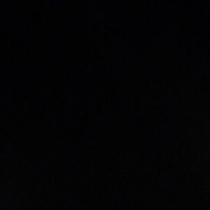 Meet your Posher, Sylvie